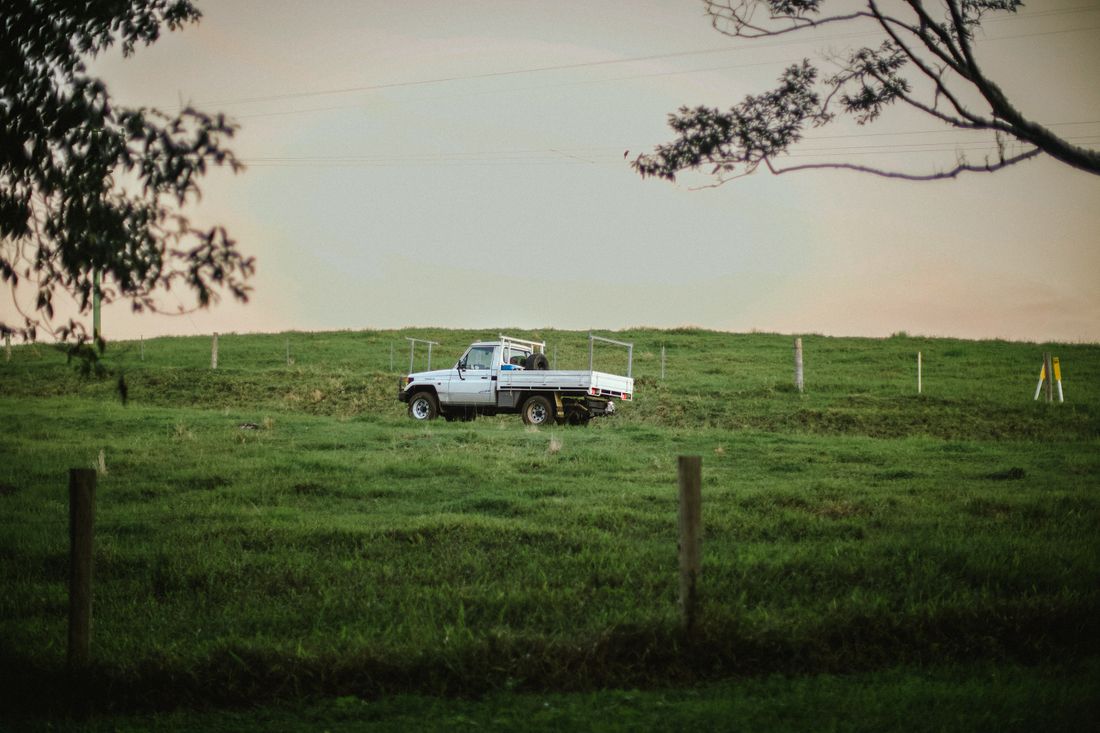 A tray-back ute parked in a green paddock behind a wire fence, gum trees overhead.